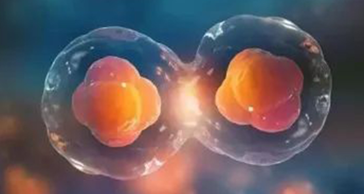 干細(xì)胞外泌體：開啟傷口愈合的無(wú)細(xì)胞治療新可能